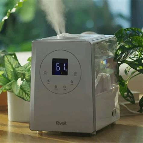 where to buy levoit humidifier